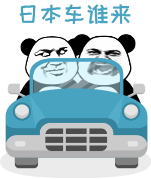 飙车熊猫系列表情图片