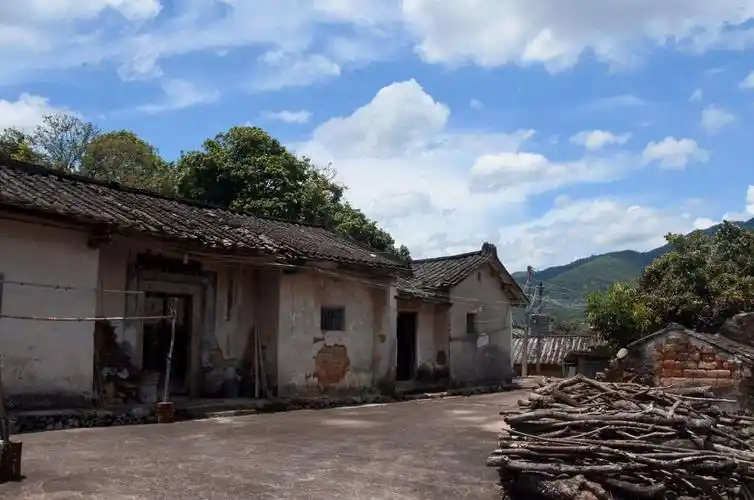 这座房子是这里十分常见的普通民房,外埕打扫得干干净净,堆积的柴火