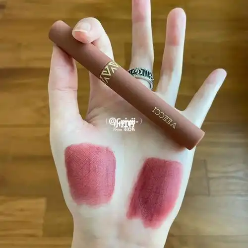 小众  #唯资唇泥#我的口红日记  #唇泥  #红棕色口红