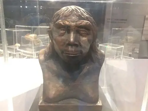 这就是古代原始人的样貌,一想到我们也是这样进化来的,真是奇妙呐!