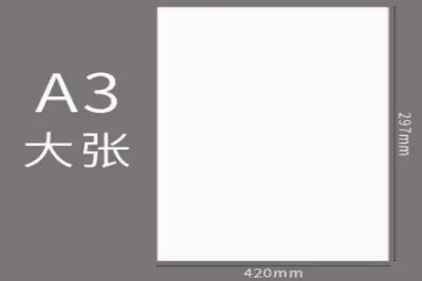 a3纸的尺寸是多少