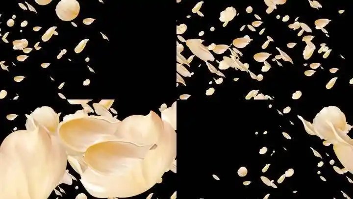 手绘花瓣(浅金色)转场-alpha通道