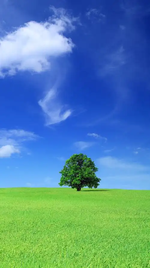 护眼- 堆糖,美图壁纸兴趣社区