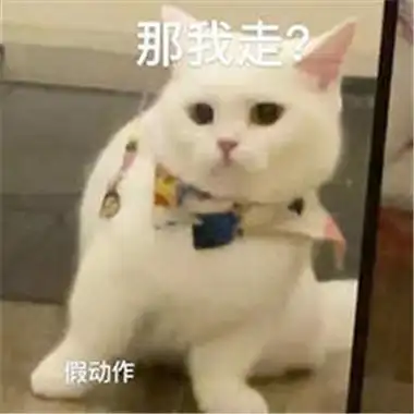 那我走什么梗
