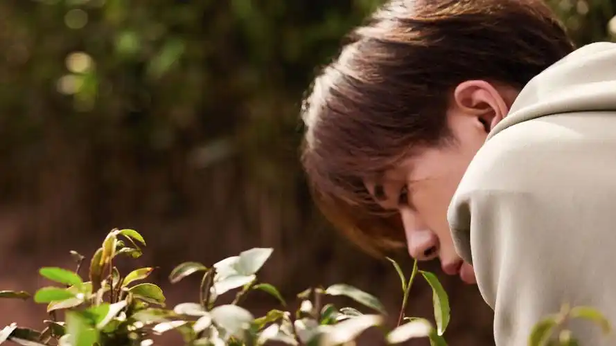 易烊千玺高清电脑壁纸