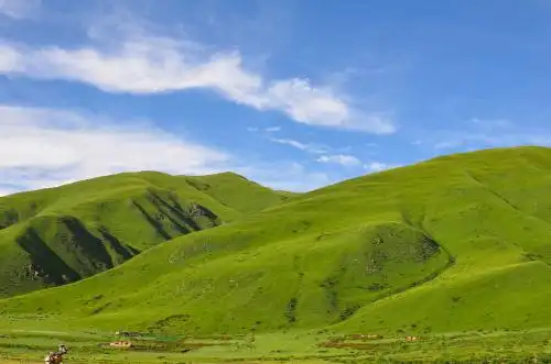 中国四川阿坝州红原县高山草甸草原风光