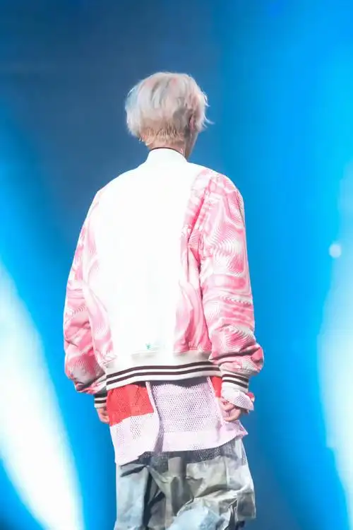 鹿晗演唱会背影图##鹿晗三巡