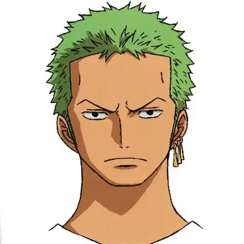 海贼头像索隆绿藻头的路痴男人