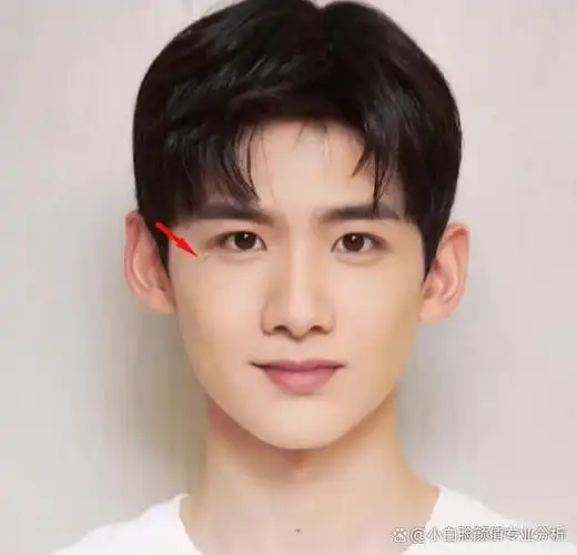 国民初恋白敬亭作为白月光系男友出道多年,凭借自己的努力参演了平凡