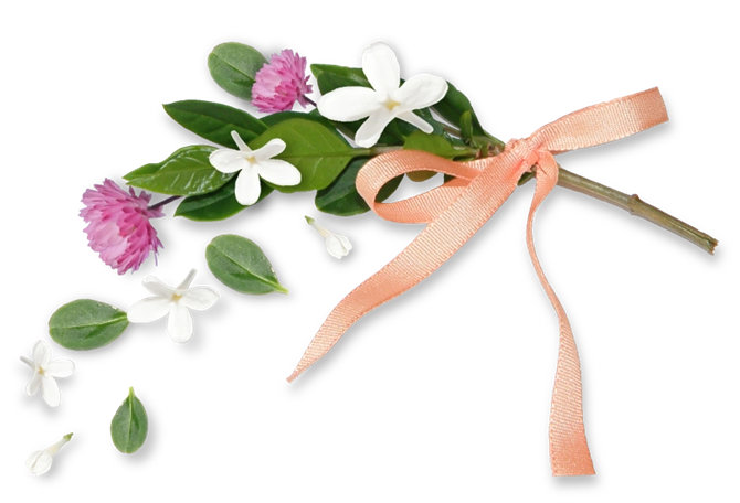 【转载】《浪漫花边框》png免抠图素材 - 潇枫(雪中松)的日志 - 网易