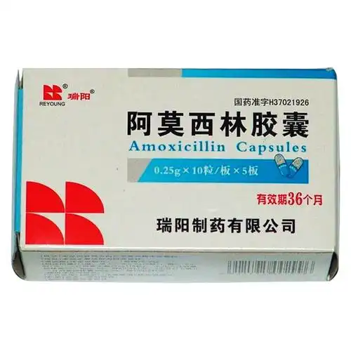 阿莫西林胶囊(瑞阳)