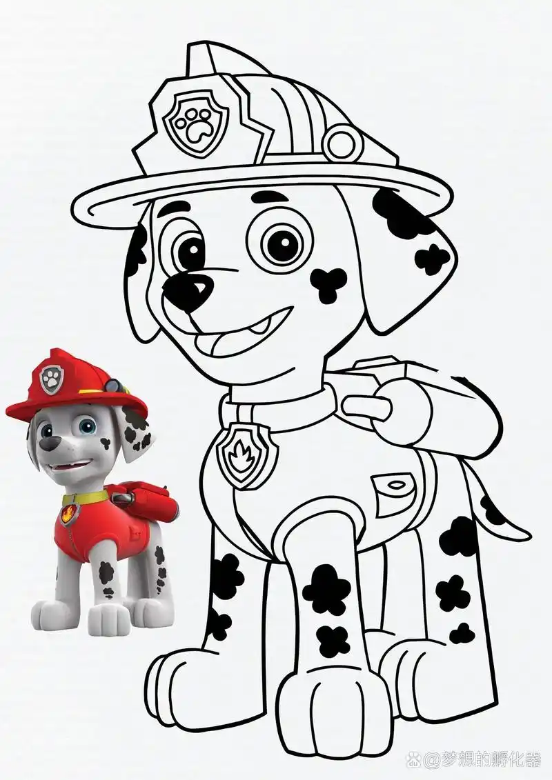 4汪汪队立大功-毛毛手绘线稿可打印涂色 毛毛角色介绍 品种:大麦町犬