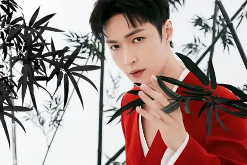 昨天,湖南籍青年音乐人张艺兴带着自己的原创歌舞作品《画卷》登上