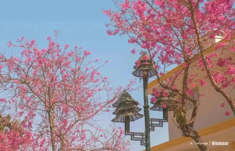 ins上最火的景点去这里竟比国内游还便宜分分钟美哭你