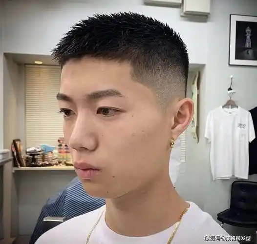 平头,就是标准的寸头,又分为方寸与板寸.