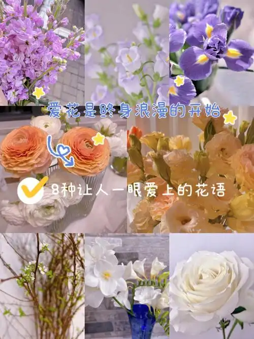 分享8种让人一眼爱上的花及花语