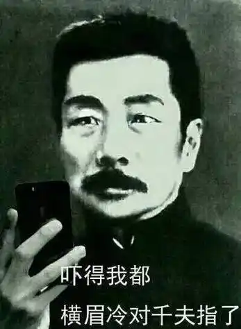 成为网络表情包的鲁迅我前面也提到了,鲁迅的形象是非常丰富,非常