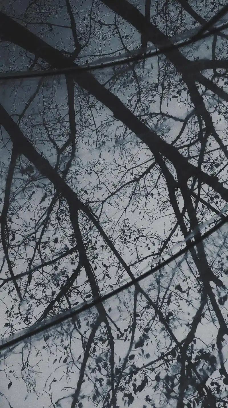 一些手机拍的风景图.#氛围感 #拍出电影感 #手机摄影 - 抖音