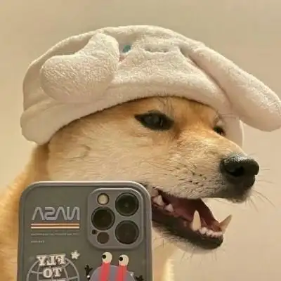 柴犬自拍头像很喜欢求高手帮忙p成手持mate30pro谢