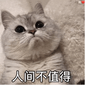 可爱搞笑的聊天表情包