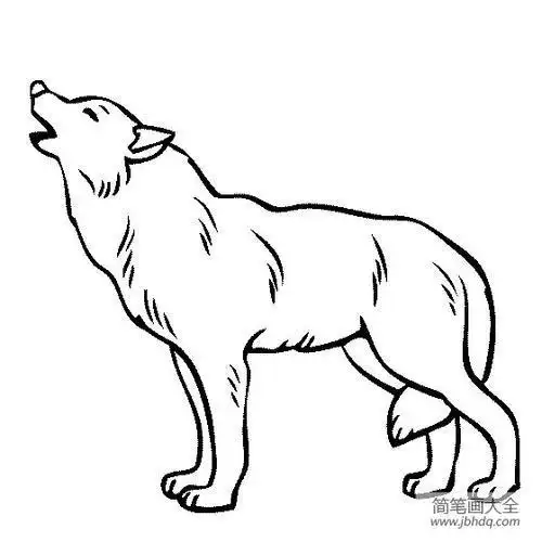 狼的简笔画幼儿