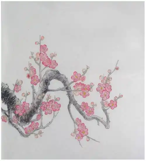 国画教程工笔梅花画法步骤