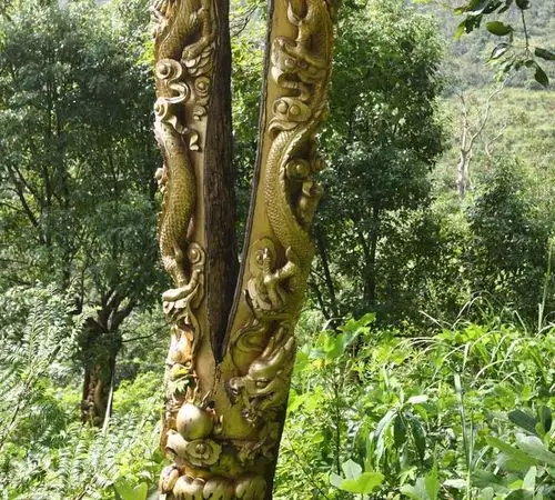浙江树林现生动龙形树雕
