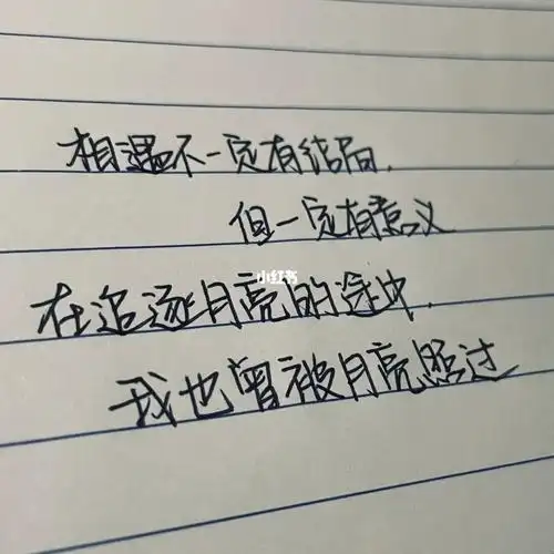 追星的意义  #tnt时代少年团  #手写热爱是一种永恒的可能,一个人