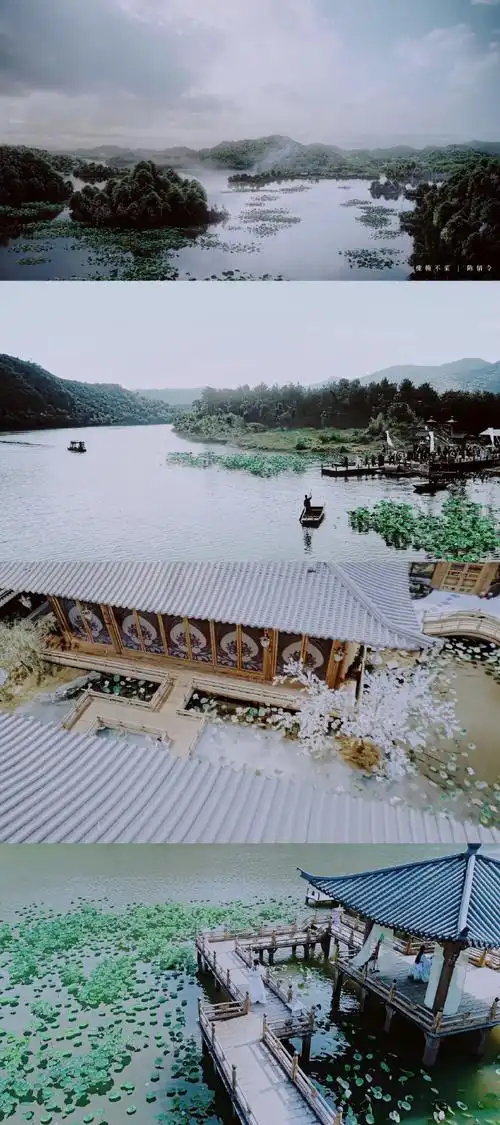 陈情令超话04收藏150928