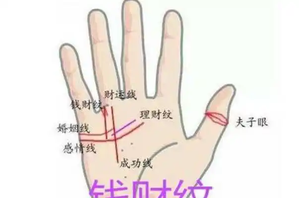 此纹是大横财手相之一百年难得一见天生的上等命
