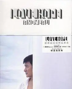 刘德华音乐专辑封面