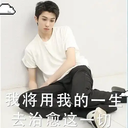 林墨の表情包仓库