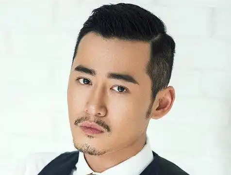 男性大背头发型成熟型男性全背发型-好发型