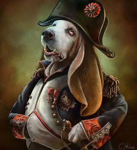 一组霸气的动物插画图,用来做壁纸毫无违和感,图4好美