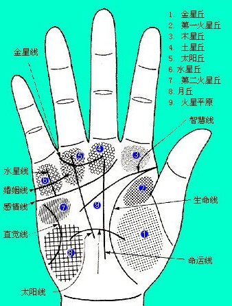 月丘不明显 是不是运势不佳