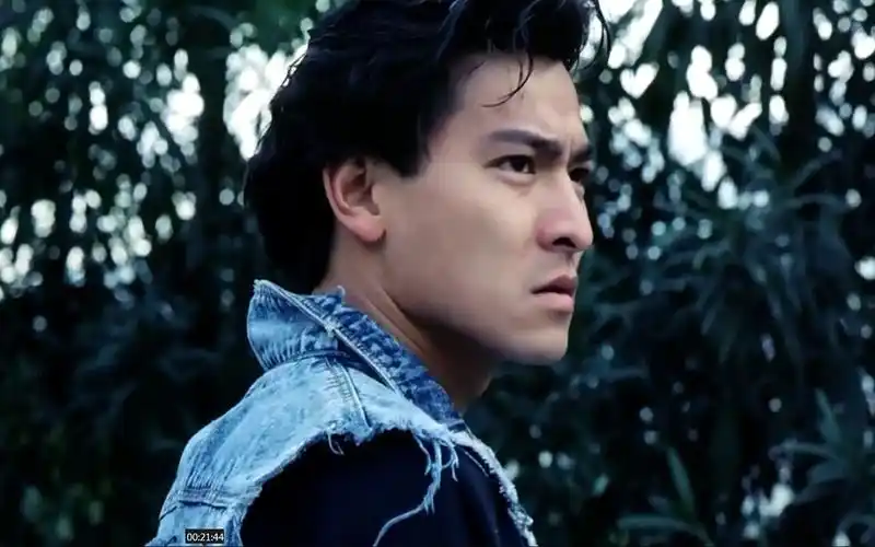 推荐刘德华五部高评分经典香港电影