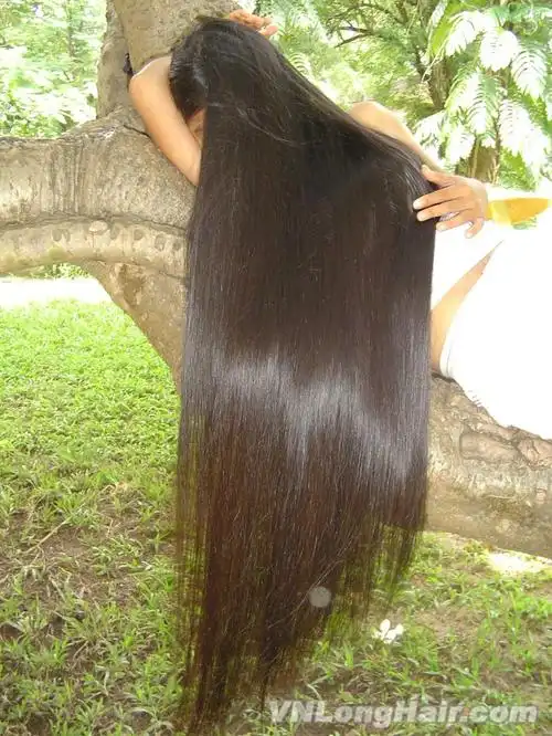 收藏的越南长发女图集与大家分享(42)