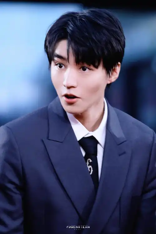 王俊凯平遥电影展特约策展人##王俊凯红毯全身镜头