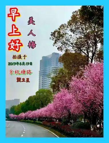 100张早上好问候图片分享(6)