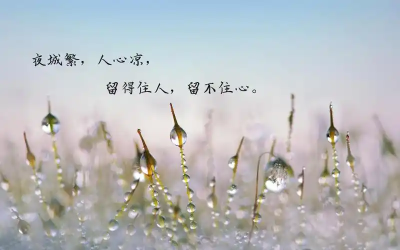 一句话让人心凉透的说说图片