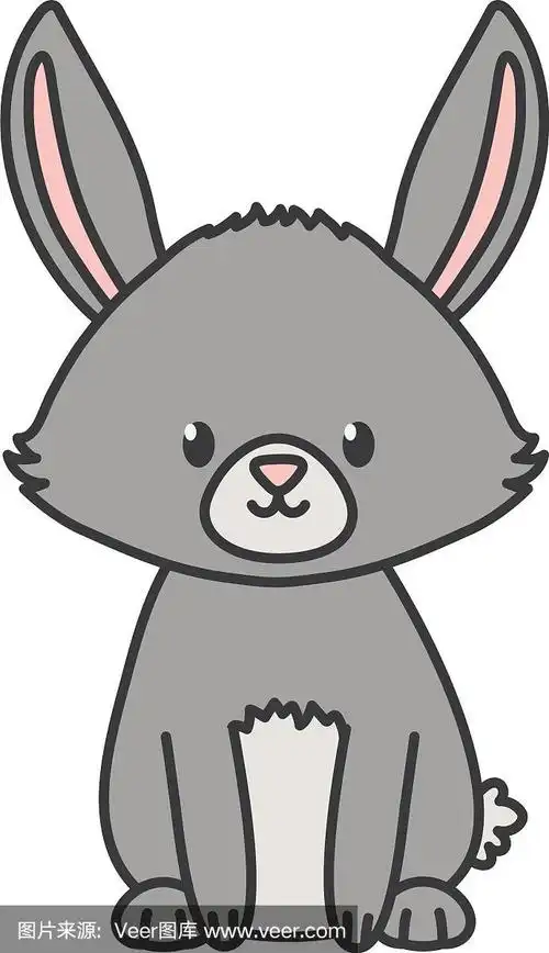 灰色的兔子坐在白色的背景