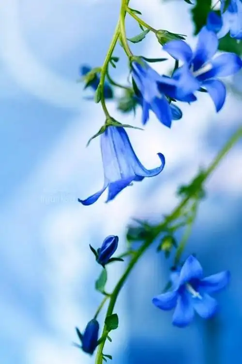 让人一读就心动的句子,唯美经典,句句阳光