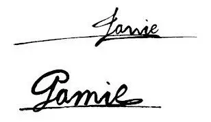 帮我设计个英文名字的艺术签名吧 最好是连笔的(jamie)