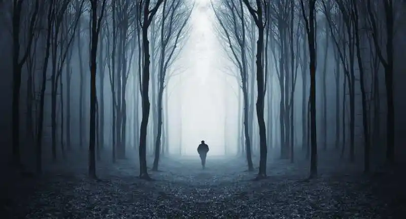 一个孤单的人走在森林的小路上