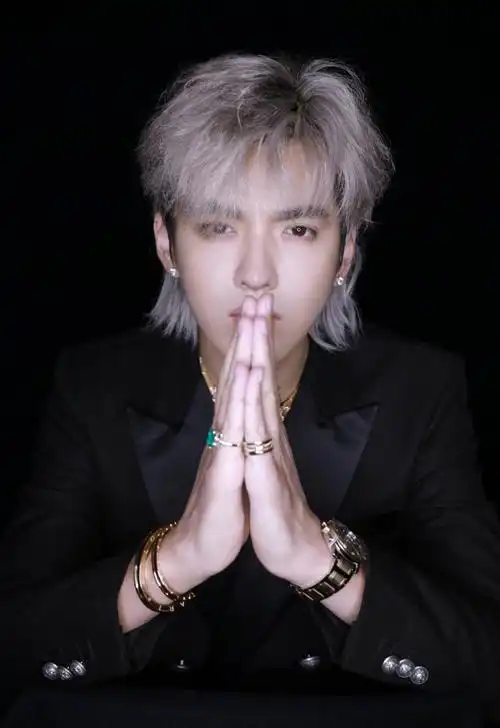 吴亦凡银发西装珠光宝气帅气写真图片