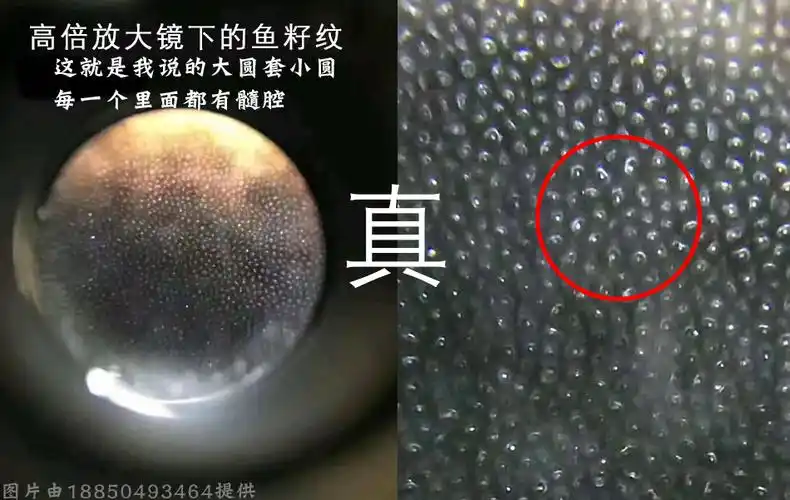 那么怎么最简单的鉴别是不是真的犀牛角藏品呢相信看这篇文章的人