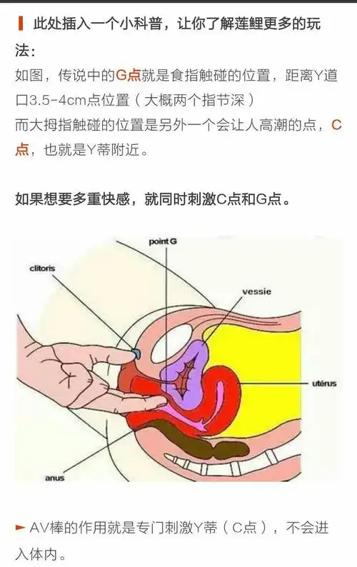 今日车车知识点