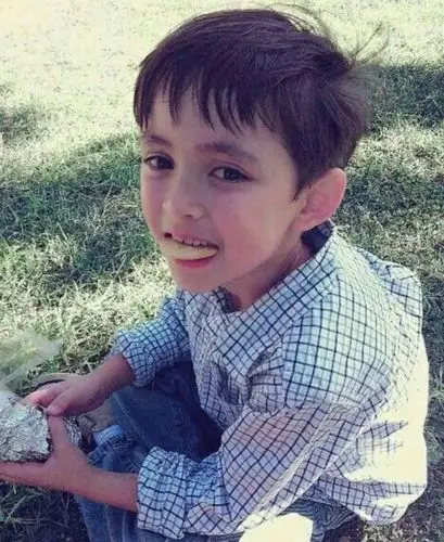 初见萌娃-exo:欧爸萌娃来袭-话本小说网