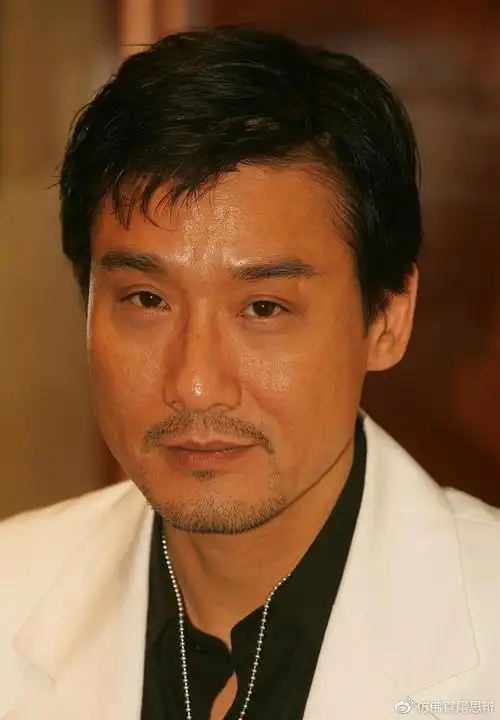 千面梁家辉怼的鲁豫一愣一愣是鲁豫采访过最不会聊天的人