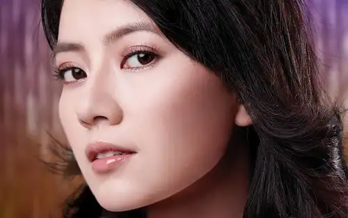 高圆圆黄海波咱们结婚吧